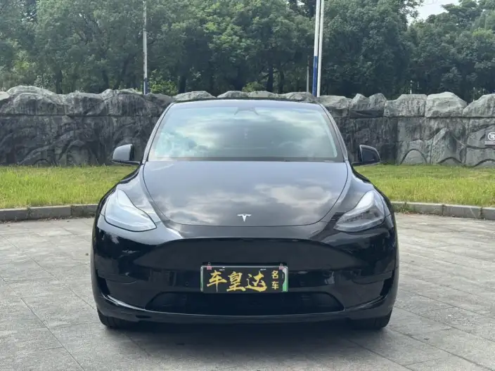 Model Y 2023 Model Rear-wheel drive version – фото 2