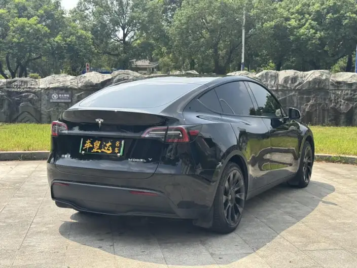 Model Y 2023 Model Rear-wheel drive version – фото 6