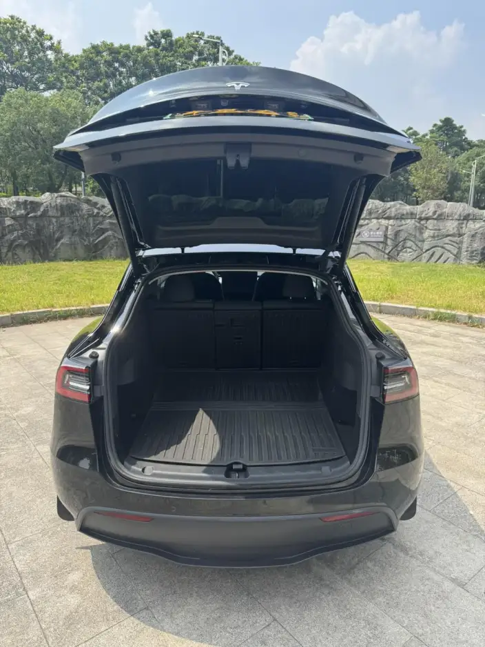 Model Y 2023 Model Rear-wheel drive version – фото 11