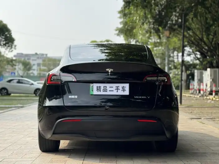 Model Y 2022 Model Facelift Rear-wheel drive version – фото 6