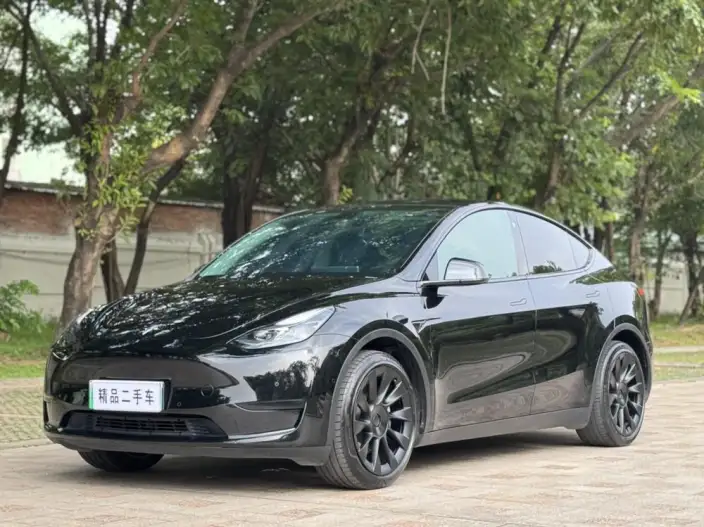 Model Y 2022 Model Facelift Rear-wheel drive version – фото 10