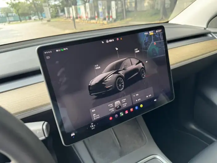 Model Y 2022 Model Facelift Rear-wheel drive version – фото 12