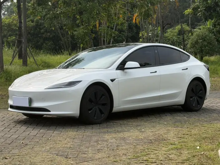 Model 3 2025 Model Rear-wheel drive version – фото 1