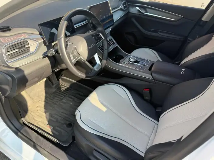 BYD Destroyer 05 2025 Model DM-i 55KM Smooth Ride Edition – фото 8