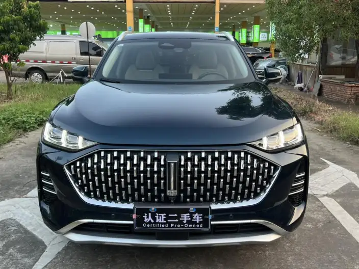 Mocha 2021 Model 2.0T 2WD Strong Edition – фото 2