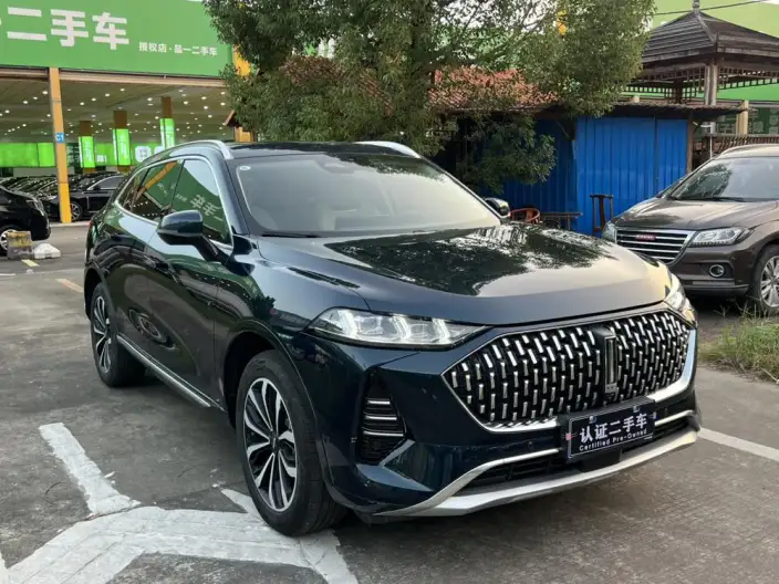 Mocha 2021 Model 2.0T 2WD Strong Edition – фото 3