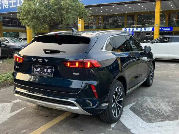 Mocha 2021 Model 2.0T 2WD Strong Edition – фото 7