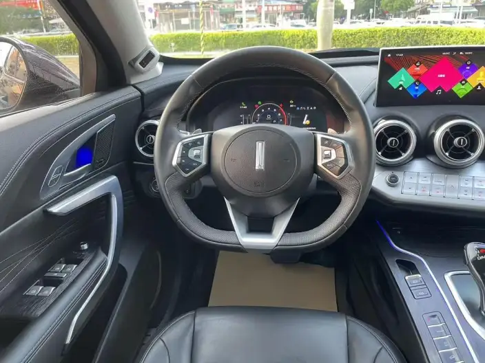 WEY VV7 2020 Model 2.0T Flagship Model – фото 11