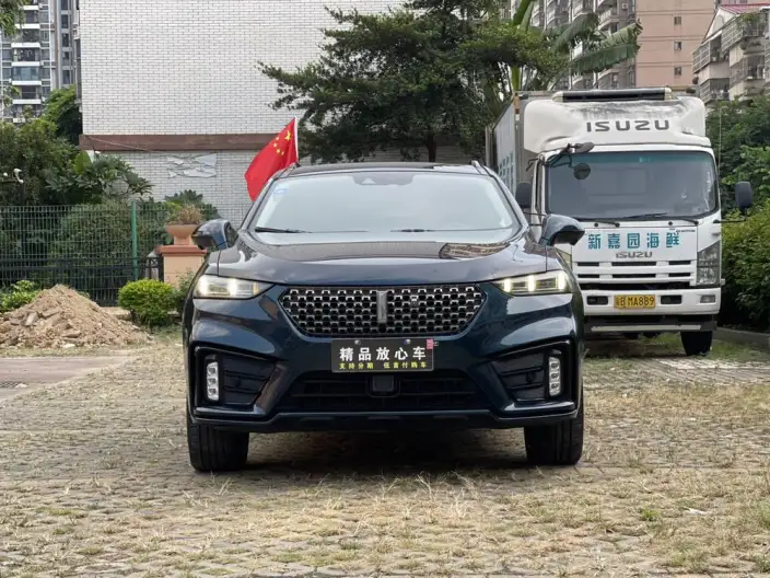 WEY VV7 2020 Model 2.0T Flagship Model – фото 2