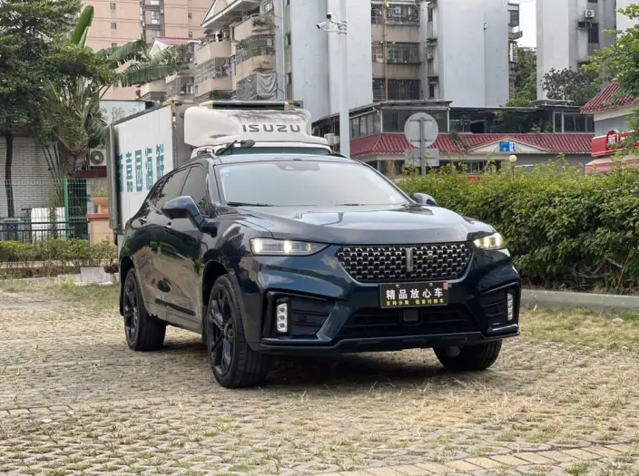 WEY VV7 2020 Model 2.0T Flagship Model – фото 3
