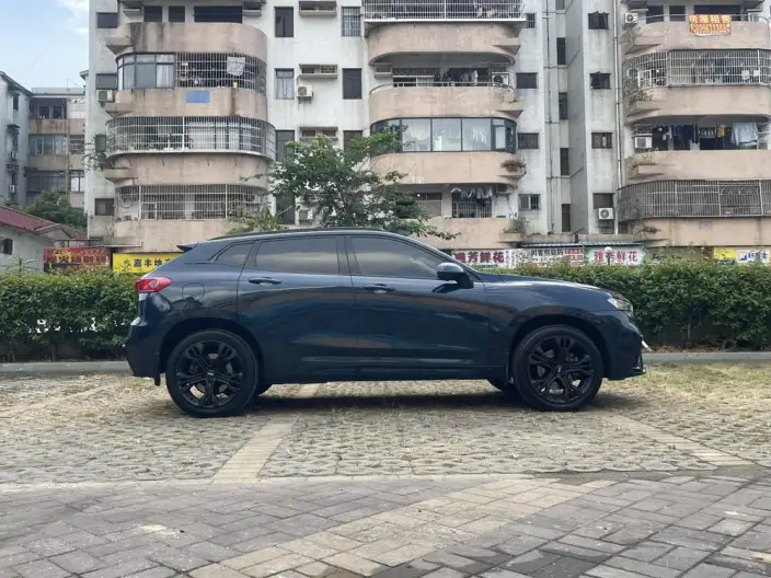 WEY VV7 2020 Model 2.0T Flagship Model – фото 8