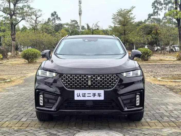Wey VV7 GT 2020 Model 2.0T Chao Luxury Model – фото 2