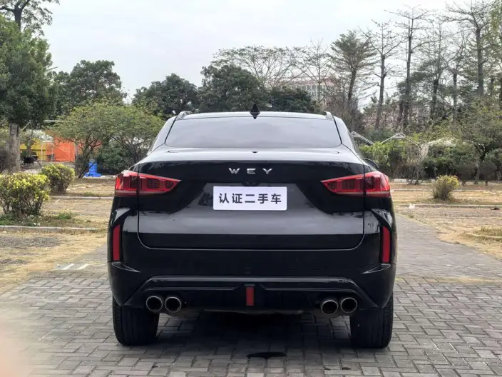 Wey VV7 GT 2020 Model 2.0T Chao Luxury Model – фото 5