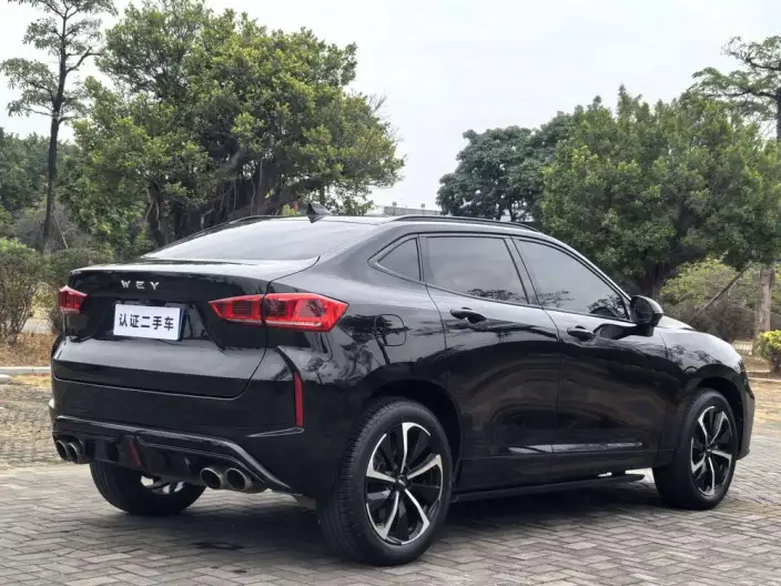 Wey VV7 GT 2020 Model 2.0T Chao Luxury Model – фото 6