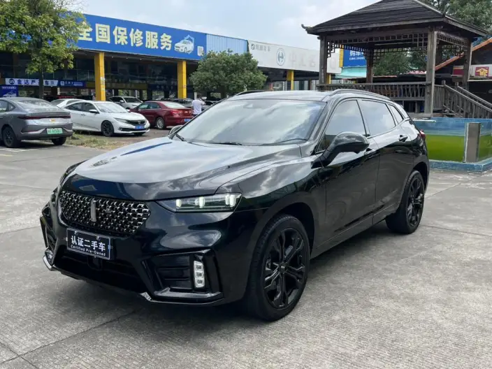 WEY VV7 2021 Model 2.0T Technology Edition – фото 1