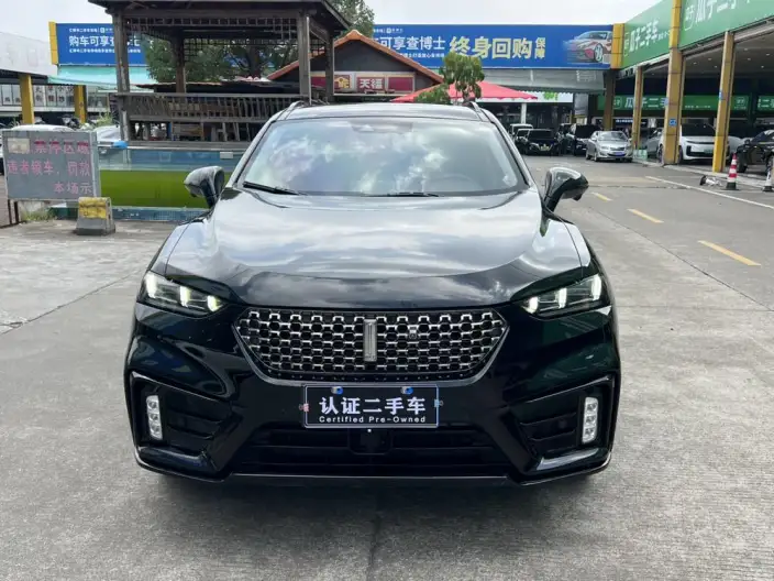 WEY VV7 2021 Model 2.0T Technology Edition – фото 2
