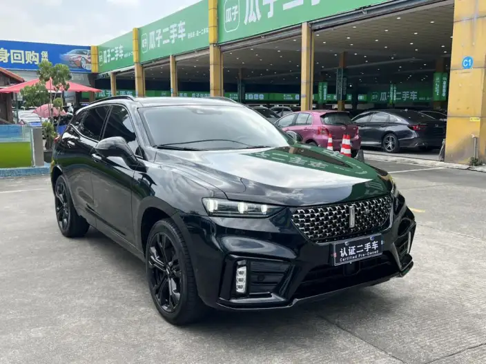 WEY VV7 2021 Model 2.0T Technology Edition – фото 3