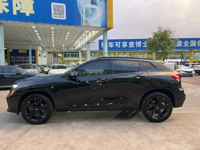 WEY VV7 2021 Model 2.0T Technology Edition – фото 4