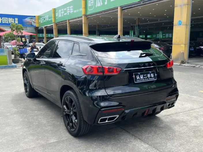 WEY VV7 2021 Model 2.0T Technology Edition – фото 5