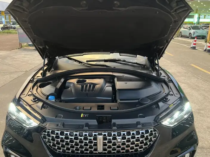 WEY VV7 2021 Model 2.0T Technology Edition – фото 8