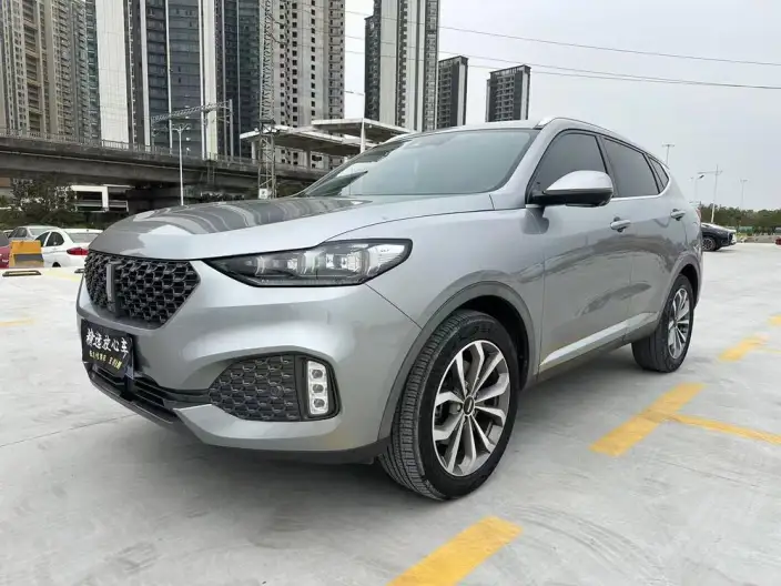 WEY VV6 2020 Model 2.0T 2WD Smart Enjoy + – фото 1