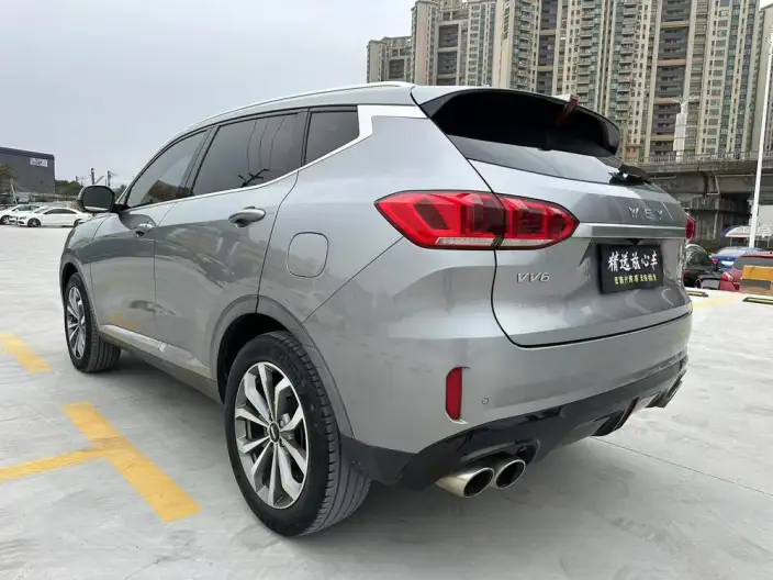 WEY VV6 2020 Model 2.0T 2WD Smart Enjoy + – фото 5