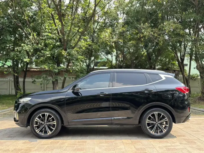 WEY VV6 2021 Model 2.0T 2WD Smart Enjoy + – фото 4