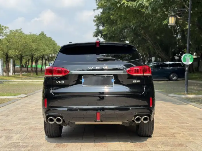 WEY VV6 2021 Model 2.0T 2WD Smart Enjoy + – фото 6
