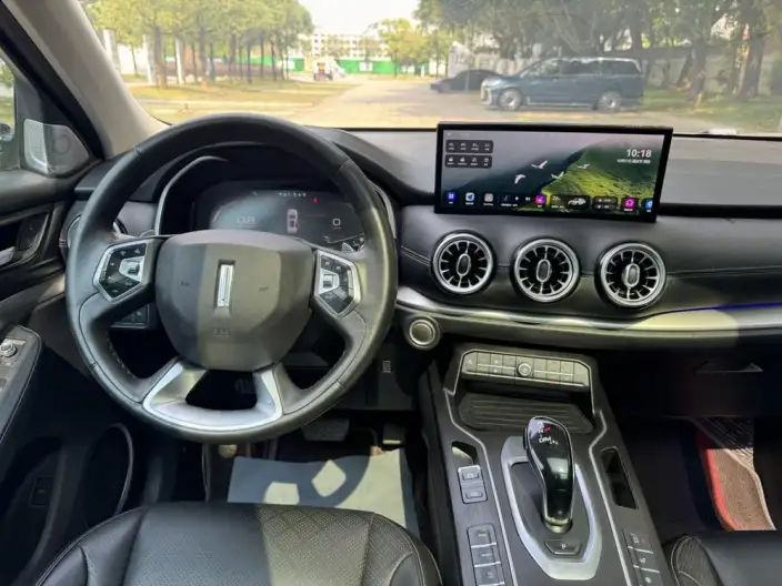 WEY VV6 2021 Model 2.0T 2WD Smart Enjoy + – фото 17