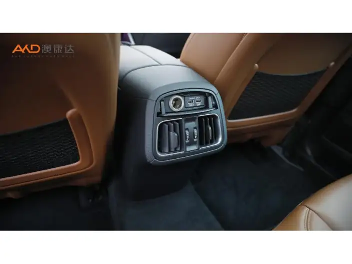 Levante 2020 Model 3.0T Standard Edition – фото 5