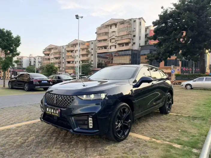 WEY VV7 2020 Model 2.0T Flagship Model – фото 1