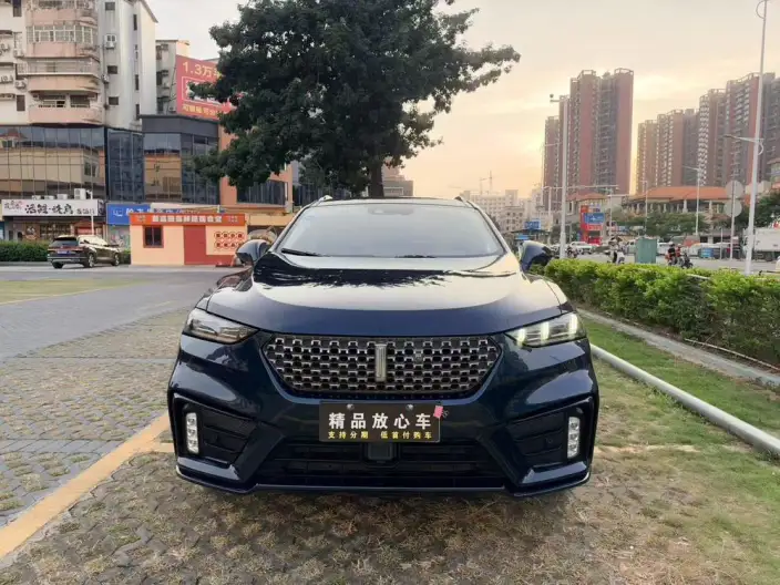 WEY VV7 2020 Model 2.0T Flagship Model – фото 2