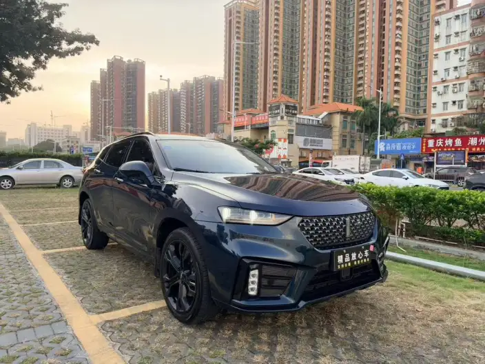 WEY VV7 2020 Model 2.0T Flagship Model – фото 3