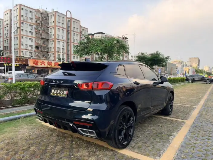 WEY VV7 2020 Model 2.0T Flagship Model – фото 6