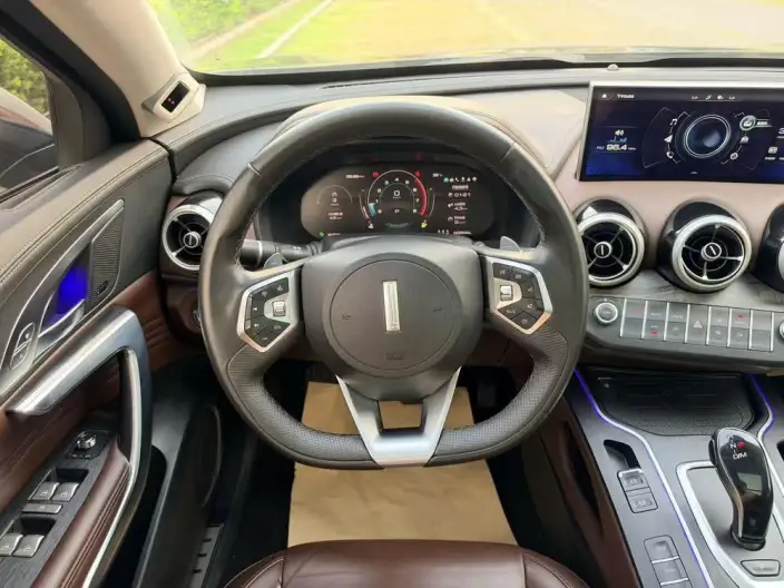 WEY VV7 2020 Model 2.0T Flagship Model – фото 12