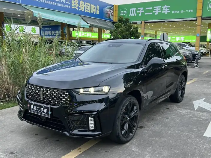 WEY VV7 2020 Model 2.0T Flagship Model – фото 1