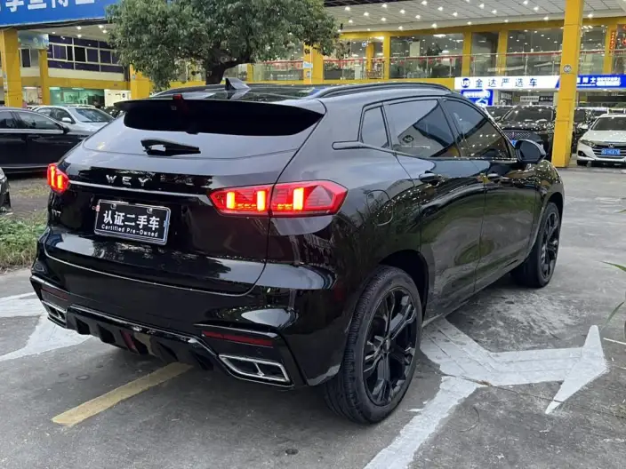 WEY VV7 2020 Model 2.0T Flagship Model – фото 7