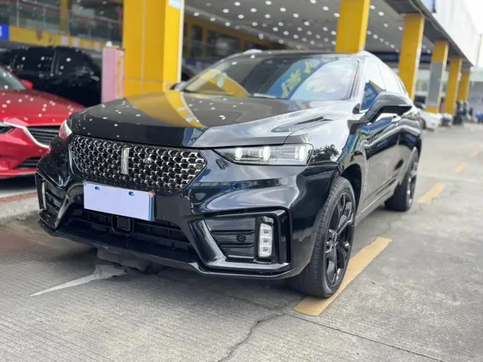 WEY VV7 2021 Model 2.0T Technology Edition – фото 1