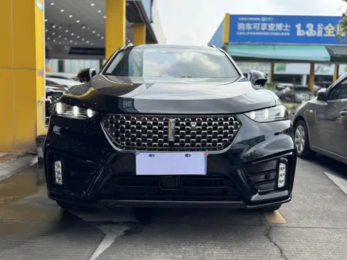WEY VV7 2021 Model 2.0T Technology Edition – фото 2