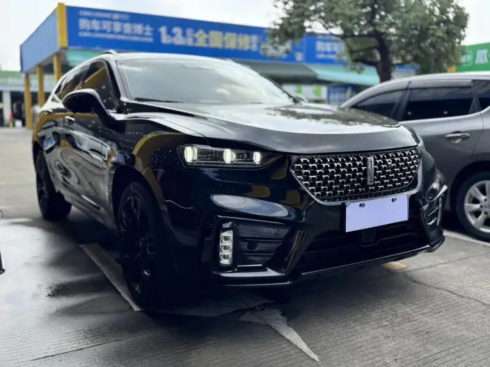 WEY VV7 2021 Model 2.0T Technology Edition – фото 3