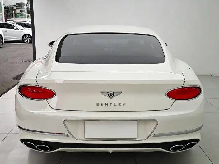 Continental 2022 Model 4.0T GT V8 – фото 6