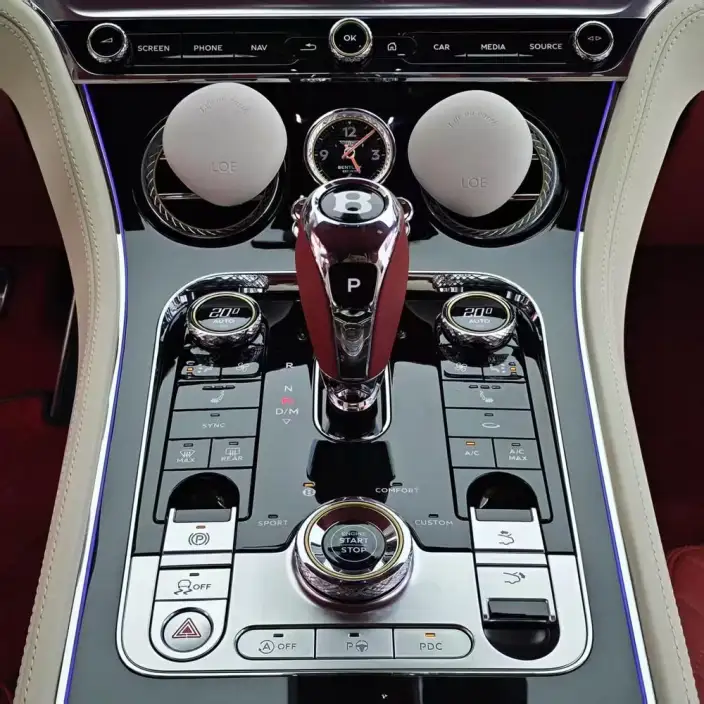 Continental 2022 Model 4.0T GT V8 – фото 12