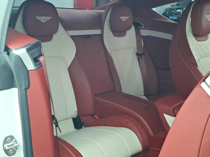Continental 2022 Model 4.0T GT V8 – фото 17
