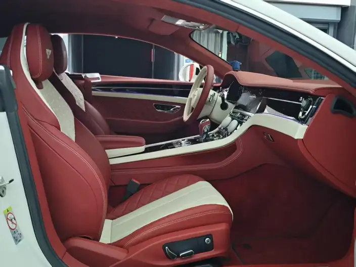 Continental 2022 Model 4.0T GT V8 – фото 18