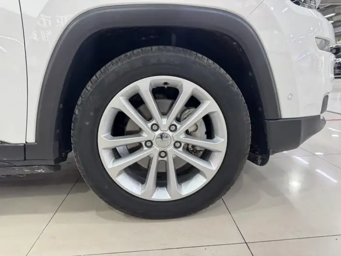 Grand Commander 2020 Model 2.0T 2WD Elite Edition – фото 7