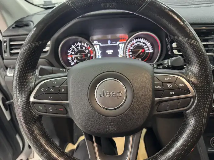 Grand Commander 2020 Model 2.0T 2WD Elite Edition – фото 18