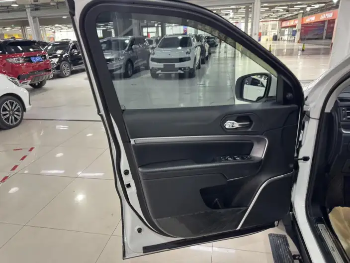 Grand Commander 2020 Model 2.0T 2WD Elite Edition – фото 23
