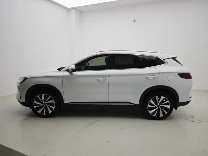 BYD Song PLUS EV 2023 Model Champion Edition 520KM Noble Model – фото 4