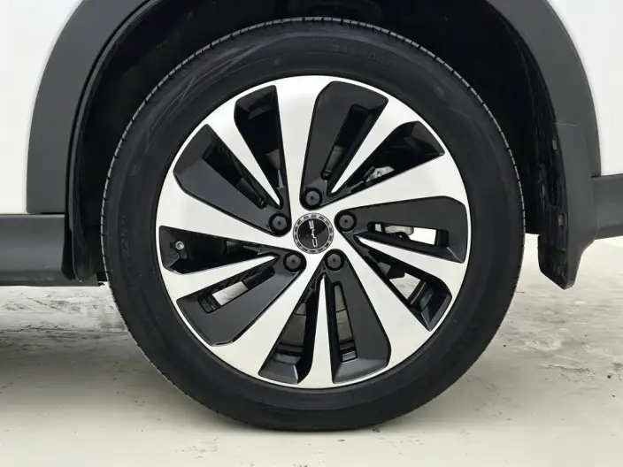 BYD Song PLUS EV 2023 Model Champion Edition 520KM Noble Model – фото 9