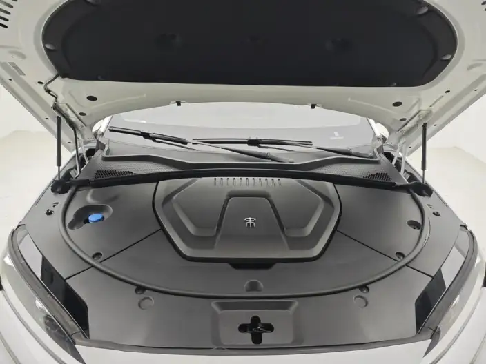 BYD Song PLUS EV 2023 Model Champion Edition 520KM Noble Model – фото 10